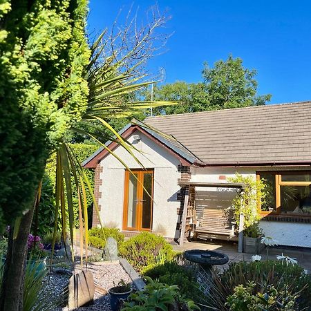 Coastal Garden Annex With Log Fire & Summer House Aberporth Esterno foto